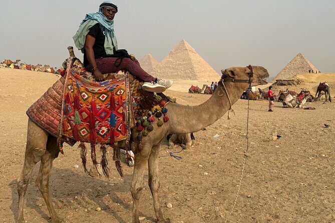 Luxury Half Day Tour to Giza Pyramids and sphinx with Camel Ride - The Sum Up