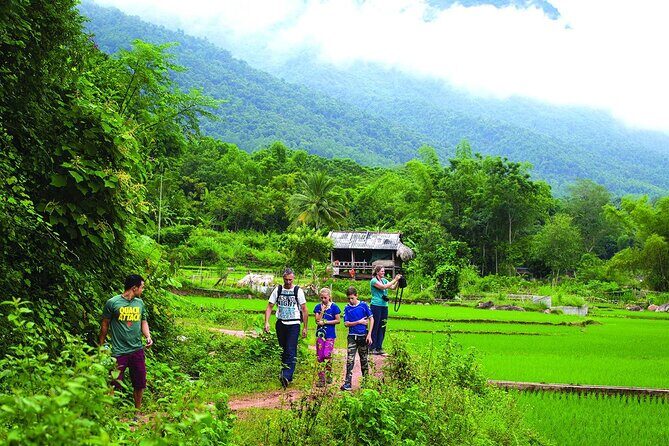 Luxury Mai Chau Day Tour from Hanoi - What Travelers Are Saying
