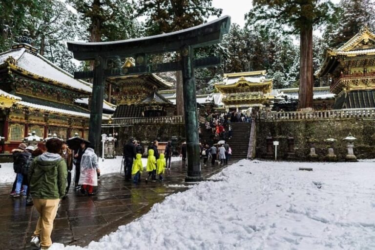 Luxury Nikko Gateway;Private Guided tour - Who Is This Tour Best For?