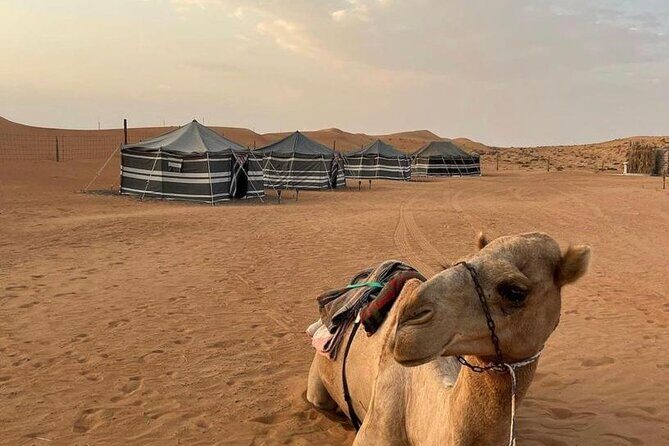Luxury Overnight Desert Safari in Salalah - What Sets This Tour Apart
