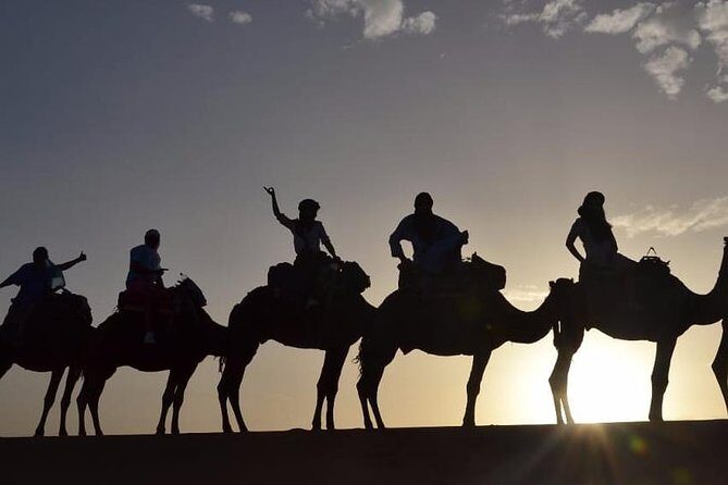Luxury Overnight From Fez To Merzouga - Practicalities and Tips
