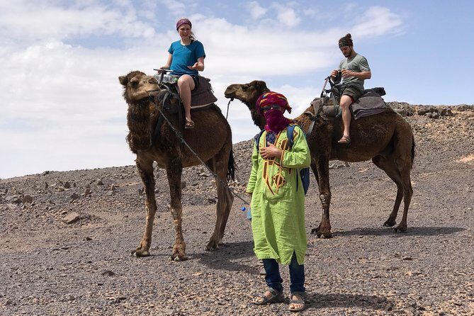 Luxury Private 4-Day Camel Trekking and Kasbah Trail from Marrakech - Day 3: From Desert to Oases and Film Studios