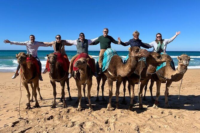 Luxury Private 4Hour Tour of Tangier - Who Will Love This Tour?