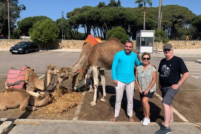 Luxury Private Tangier Tour with Lunch and Camel Ride - Who Will Love This Tour?