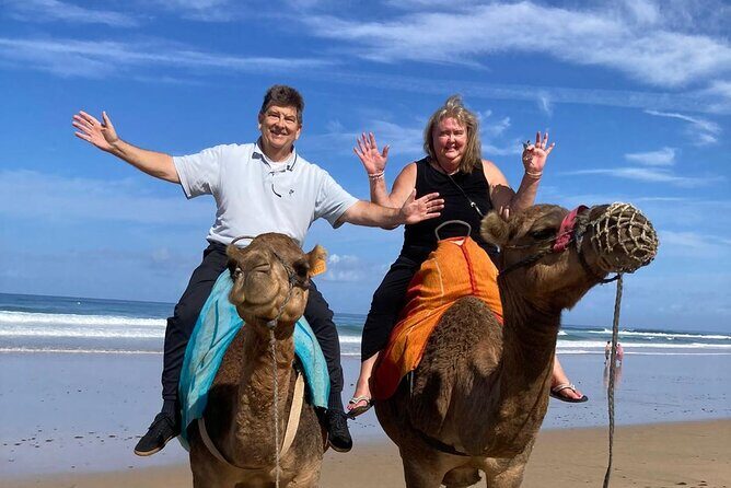 Luxury Private Tour of Tangier from Gibraltar All Inclusive - Why This Tour Is a Great Choice