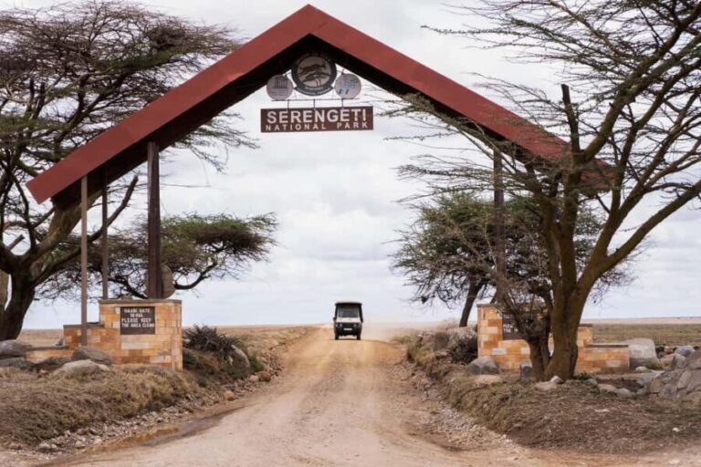 Luxury Safari Manyara, Serengeti & Ngorongoro. - The Practical Side: What to Know Before You Book