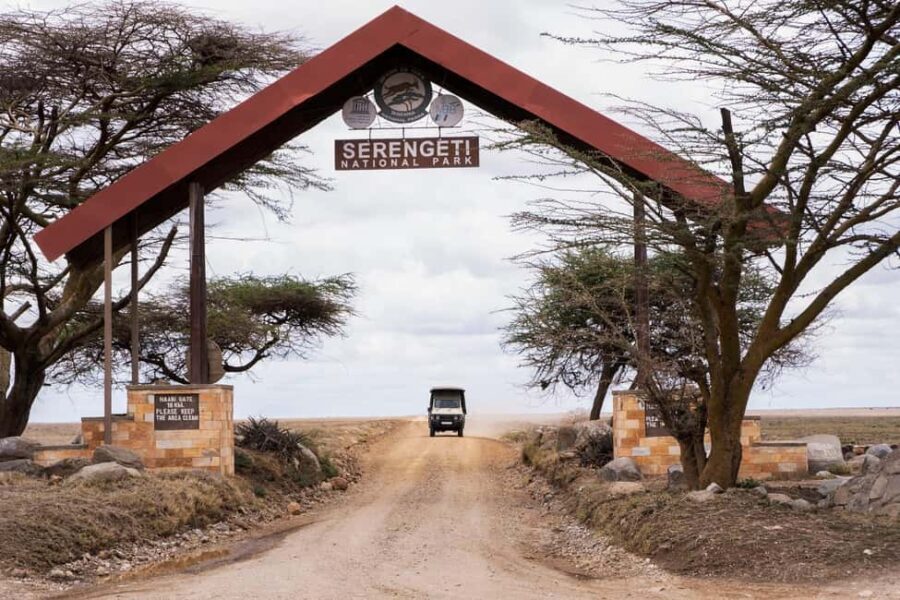 Luxury Safari Manyara, Serengeti & Ngorongoro. - The Practical Side: What to Know Before You Book