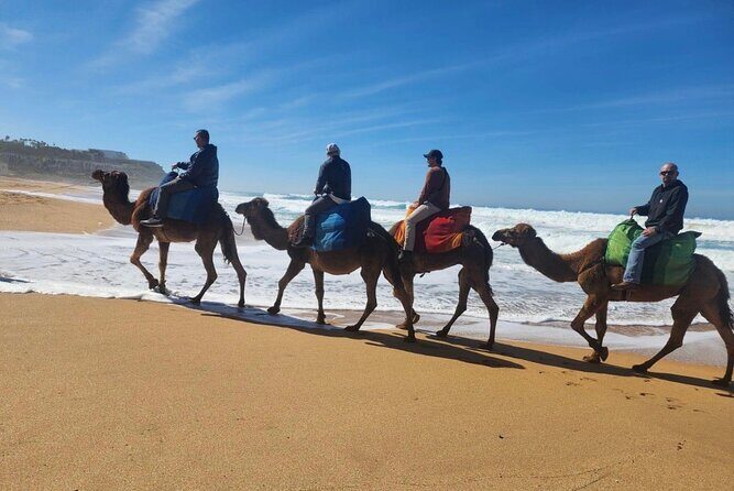Luxury Tangier private Day Tour from Tarifa Spain All inclusive - Parc Perdicaris: Green Escape and Historical Roots