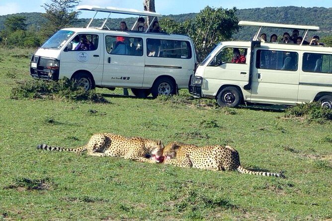 Maasai Mara 2-Day Safari Tour from Nairobi - Key Points