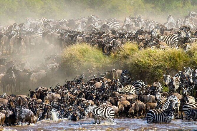 Maasai Mara 3 Day Guided Tour - What’s Included and What’s Not