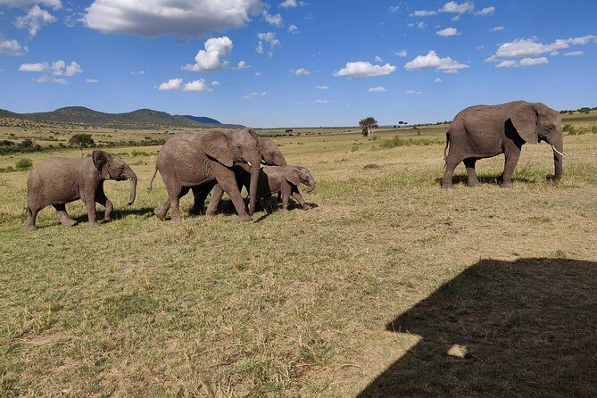 Maasai Mara Safari!! - What Makes This Tour Stand Out