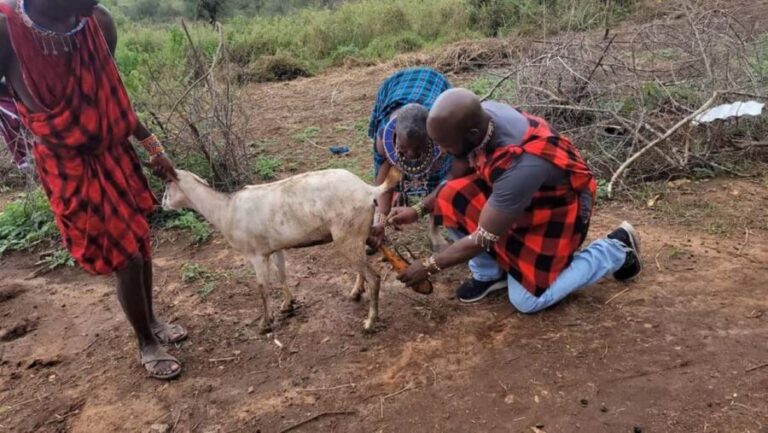 Maasai Traditional Village Tour - Who Is This Tour Best Suited For?