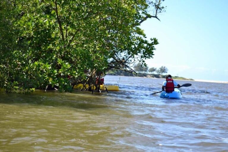 Macaneta Beach: Kayak Tour to the Incomati River Islands - What Makes This Tour Special