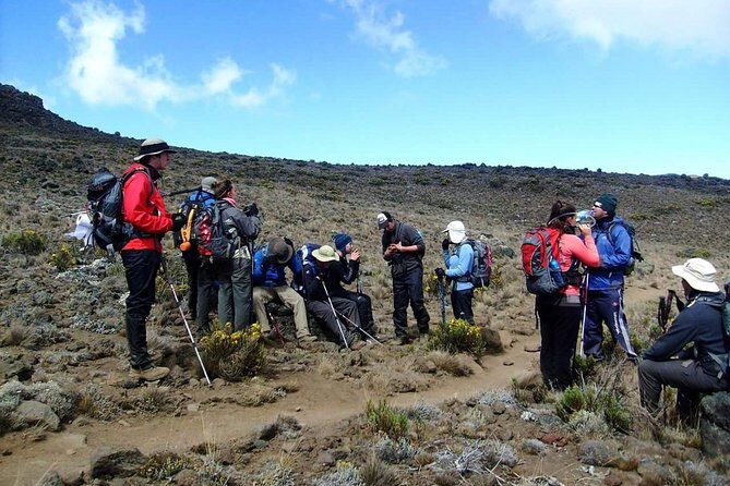 Machame Route 6 days 5 Nights/Kilimanjaro Climb - What Travelers Say