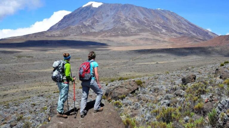 Machame Route 6 Days Trekking Kilimanjaro - Support and Logistics: What’s Included and What’s Not