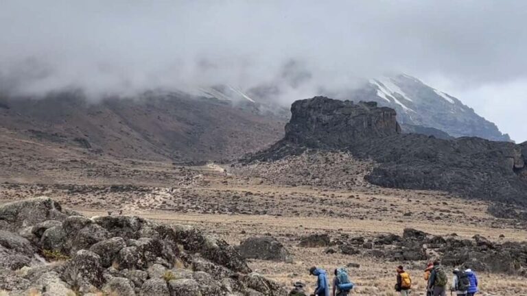 Machame Route 7 Days + Coffee Farm & Village - In-Depth Look at the Itinerary & Experience