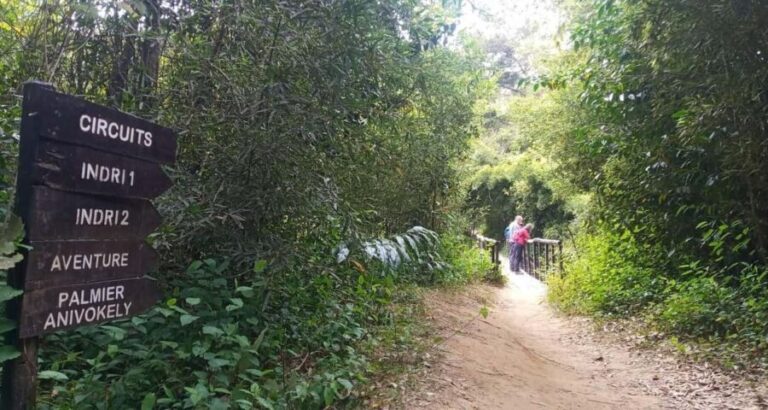 Madagascar: Indri Lemur Encounter Experience 4-days trip - Why This Tour Works