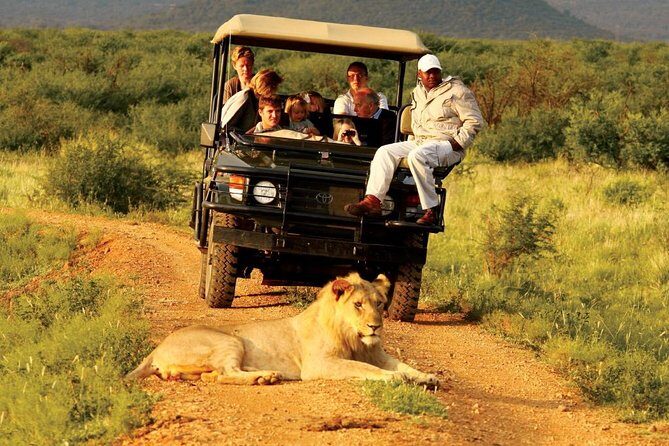 Madikwe Game Reserve Day Tour (Minimum per booking: 5 People)
