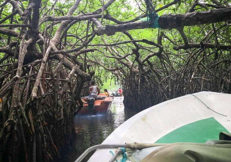 Madu River Boat Safari - Cultural and Culinary Highlights