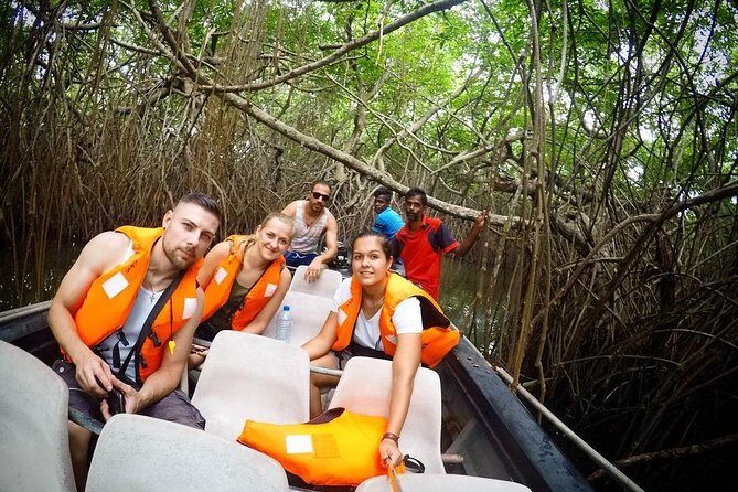 Madu River Boat Safari Balapitiya - An In-Depth Look at the Madu River Safari Experience