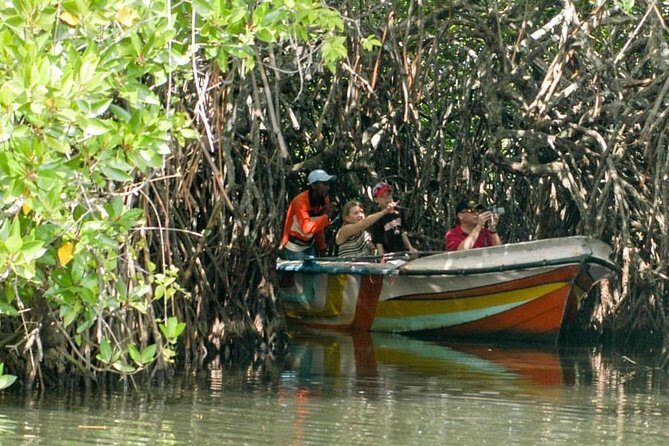 Madu River Safari at Balapitiya - The Sum Up