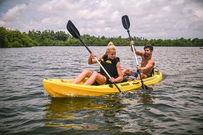 Madu River Sunrise Mangrove Kayaking - Highlights of the Tour