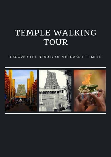 Madurai: City Highlights Temple and Market Tour - Who Should Consider This Tour?