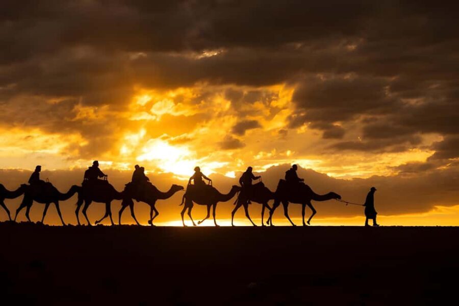 Magical Agafay : Camel Ride & Dinner show - An In-Depth Look at the Experience