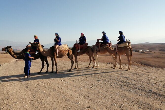 Magical dinner and show in Agafay desert with camel ride - The Sum Up: Who Should Consider This Tour?