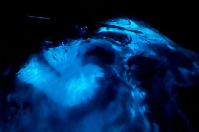 Magical Sunset and Evening with glowing plankton by Cat Ba Local - The Night Kayaking and Bioluminescent Wonder