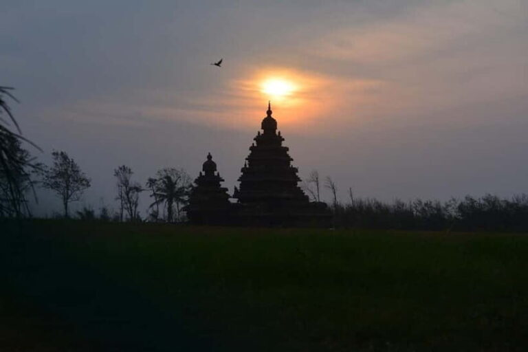 Mahabalipuram walking tour with local guide and lunch - Authentic Feedback from Travelers