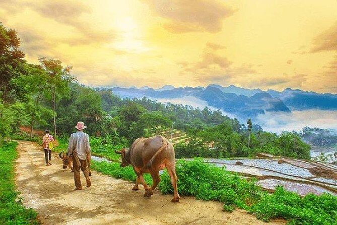 MAI CHAU 1 DAY TOUR | HIDDEN CHARM | SHARED or PRIVATE OPTIONS - Transportation and Group Size