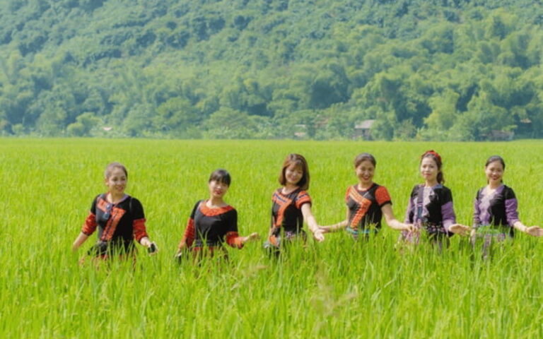 Mai Chau: 2-Day Tour with Local Ethnic Delicacies - The Next Day: Scenic Hiking and Farewell