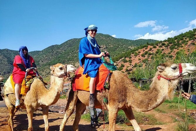 Majestic Atlas Mountains & Berber Villages Day Trip From Marrakech - Transportation & Group Size: Why It Matters