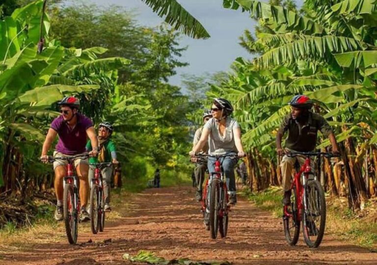 Majestic landscapes: A 5day Safari Adventure - What Does the Tour Include and Exclude?