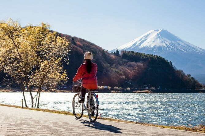 Majestic Mount Fuji: Exclusive Private Day Tour - Final Thoughts: Is It Right for You?
