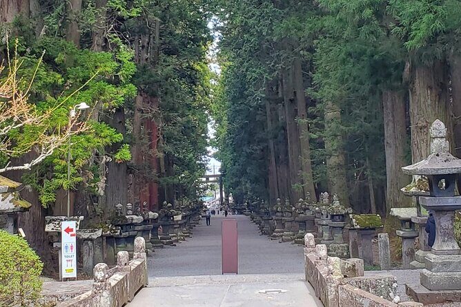 Majestic Mt. Fuji & Hakone Retreat A Private Day Tour from Tokyo - The Practical Side: What to Expect