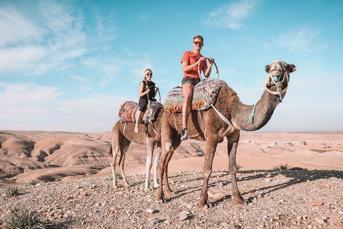 Majorel garden with lunch and camel ride Experience in Agafay - Exploring the Itinerary in Detail