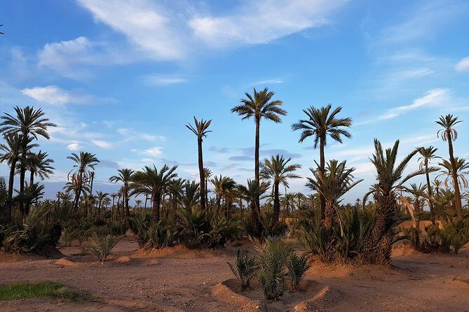 Majorelle Garden and Camel Ride Tour from Marrakech - Detailed Breakdown of the Itinerary