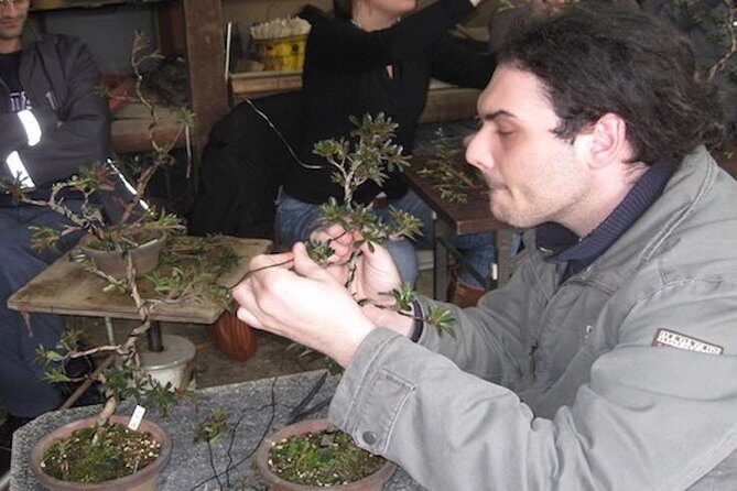 Make your own BONSAI with a professional artist in Tokyo - The Itinerary Breakdown