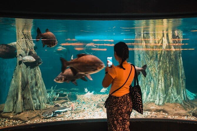 Malaysia: Aquaria KLCC Admission E-Ticket - What Reviewers Say