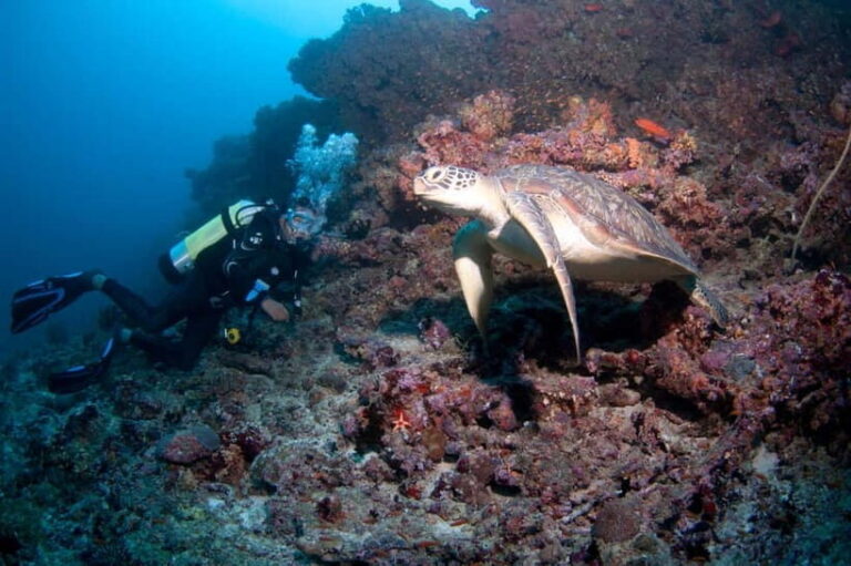 Maldives: Discover Scuba Diving - Equipment and Safety