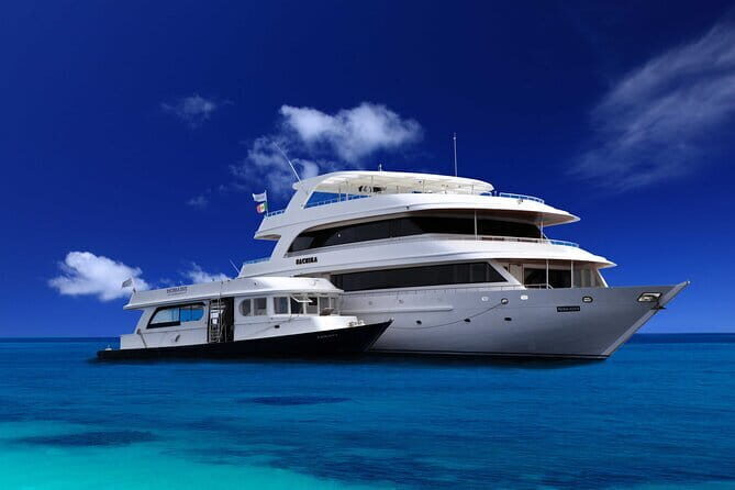 Maldives Dive Cruise Central Atolls Adventure - What Makes This Tour Special?