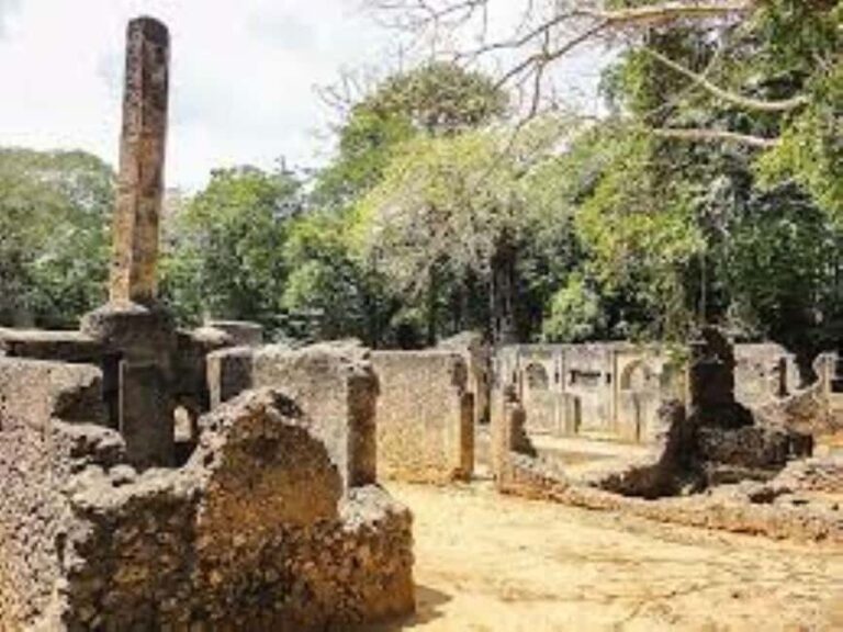 Malindi: Full-Day City Highlights Tour with Gede Ruins - Who This Tour Is Best For