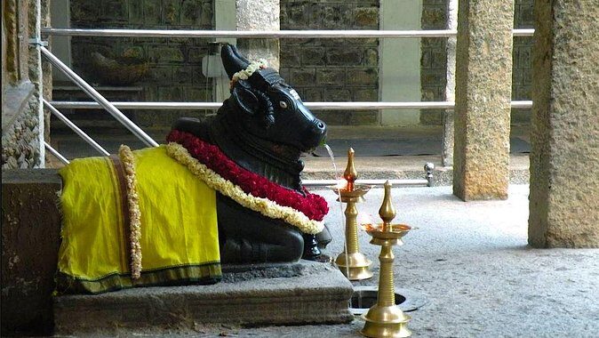 Malleswaram heritage walk, an immersive walking tour in Bangalore - Who Should Consider This Tour?