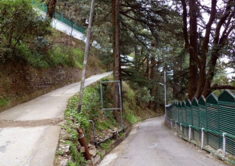 Manali Nature Walk (3 Hours Guided Trekking Experience) - The Experience from the Guides