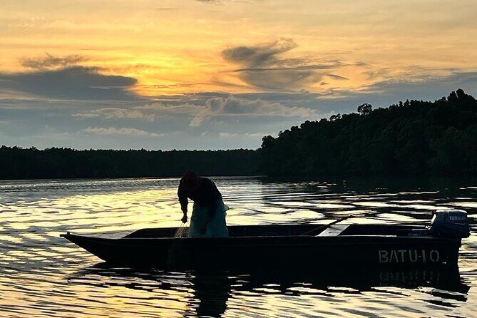 Mangrove Cruise with Fireflies Tour Including Dinner from Sandakan - An In-Depth Look at the Mangrove Firefly Tour