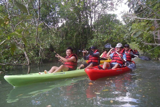 Mangrove Kayaking Adventure in Singapore - A Guided Tour with Knowledgeable Leaders