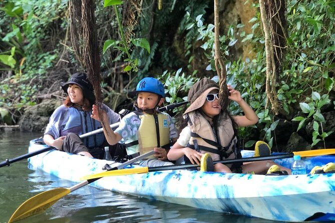 Mangrove kayaking to enjoy nature in Okinawa - Why You Should Consider This Tour