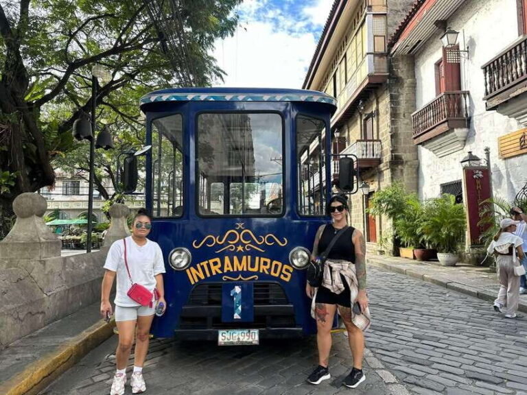 Manila: Intramuros, Chinatown, and Old Manila Half-Day Tour - Who Is This Tour Best For?